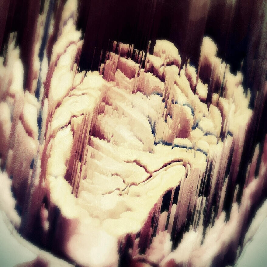 Untitled Untitled